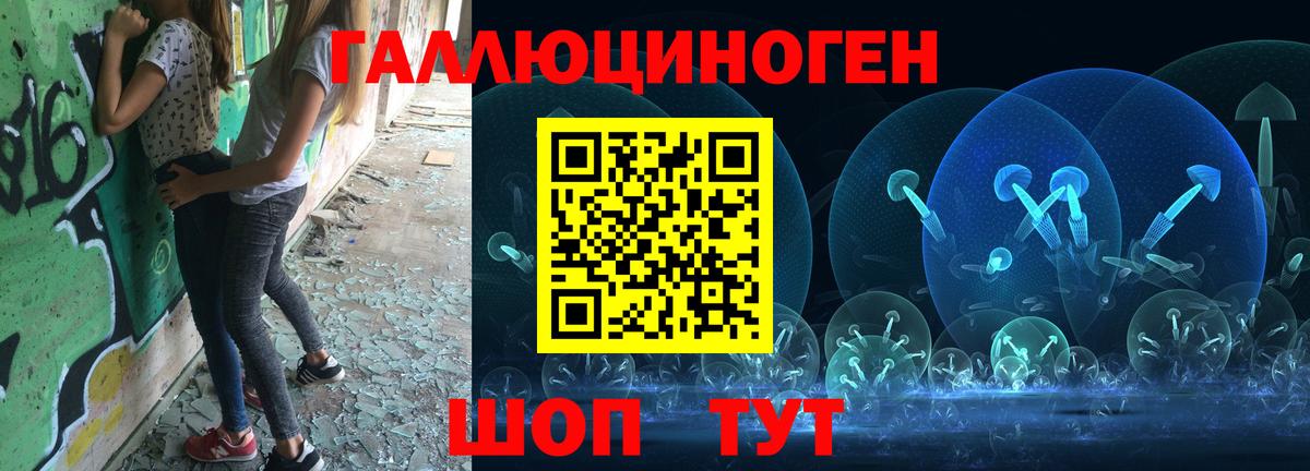 Псилоцибиновые грибы Psilocybine cubensis Качканар