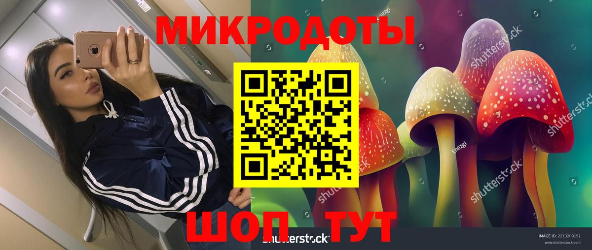 Качканар  Псилоцибиновые грибы мухоморы  Вход с VPN 